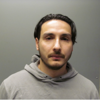 Alende Olteanu mug shot arrest photo